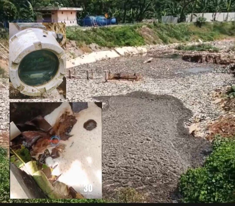 ded50db0-ccb4-409d-b900-ea47b68f3bd7 (1)