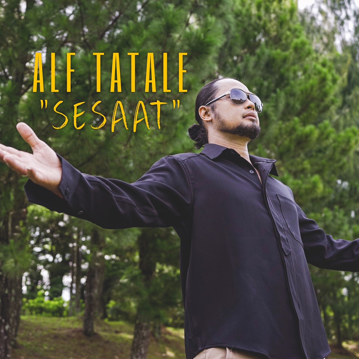 ARTWORK - SESAAT